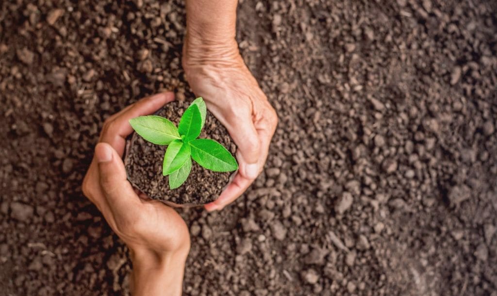 9 Instagram Handles You Must Follow If You Care For The Planet