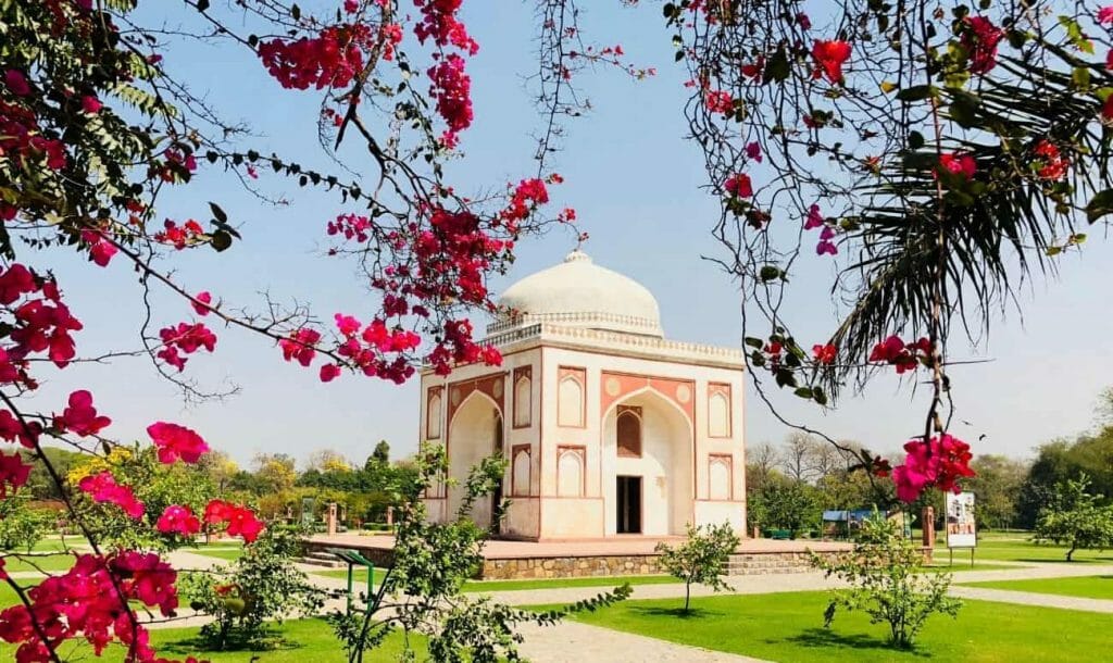 This Socially Distanced Music Festival In Delhi Will Support Indian Artists